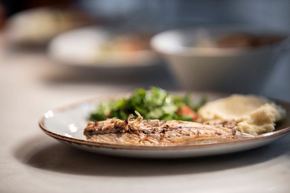 Close-up of grilled fish with salad and mashed potatoes on a plate, showcasing a healthy meal.