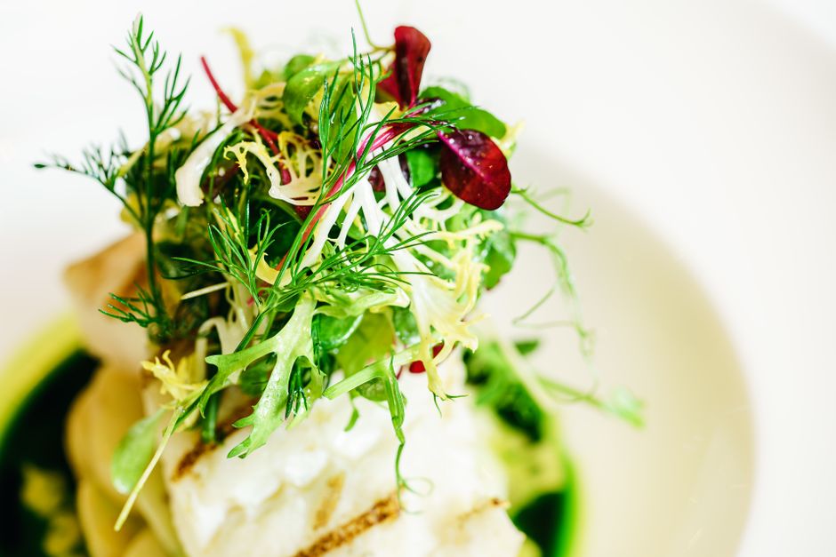 A vibrant and healthy mixed salad with grilled fish fillet, ideal for a nutritious meal.